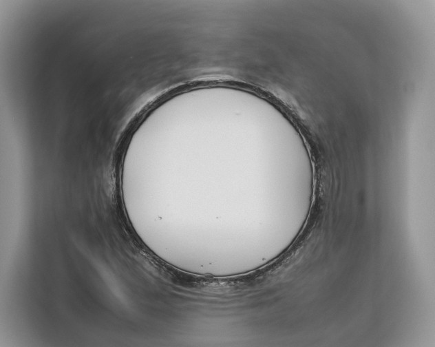 X0000112211167200908281454