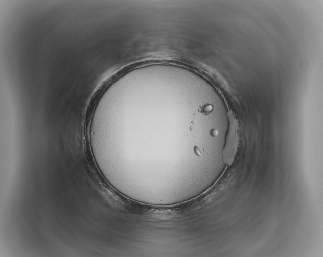 X0000112211168200908281454
