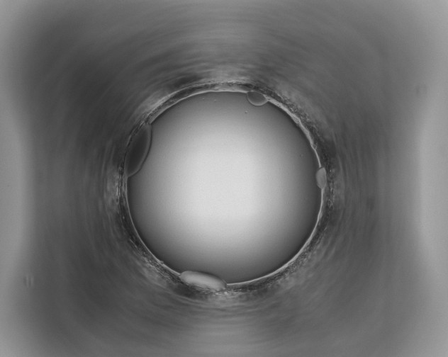 X0000112211169200908281454