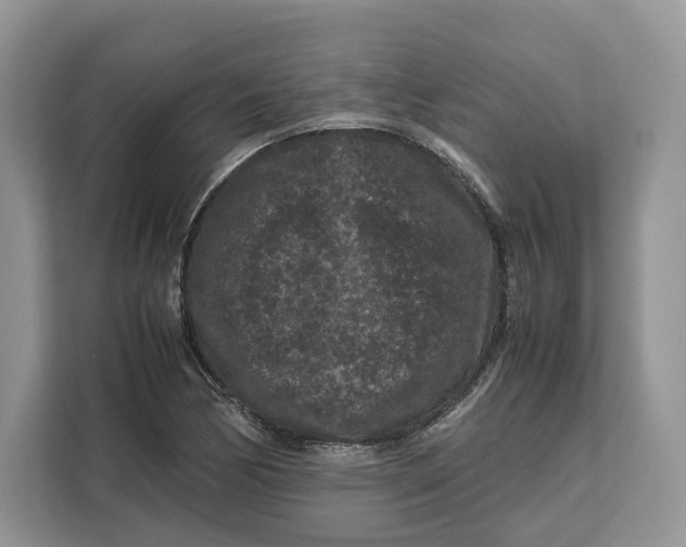 X0000112211170200908281454