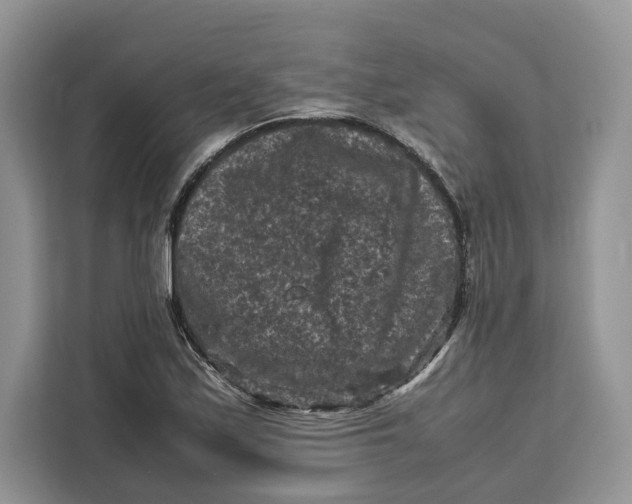 X0000112211171200908281454