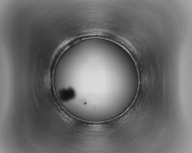 X0000112211172200908281454