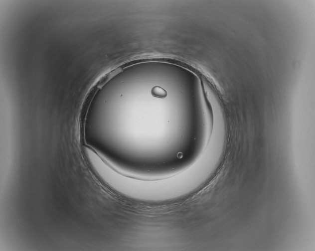 X0000112211173200908281454