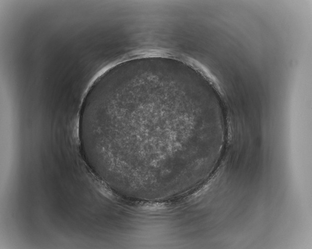 X0000112211174200908281454
