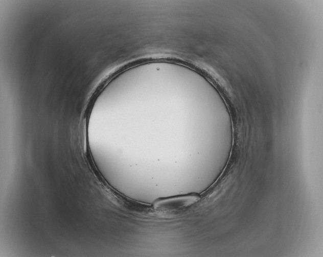 X0000112211175200908281453