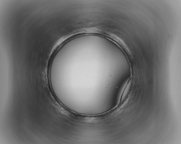 X0000112211176200908281453