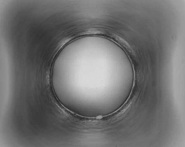 X0000112211177200908281453