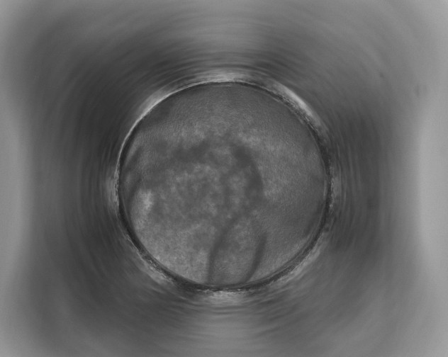 X0000112211178200908281453