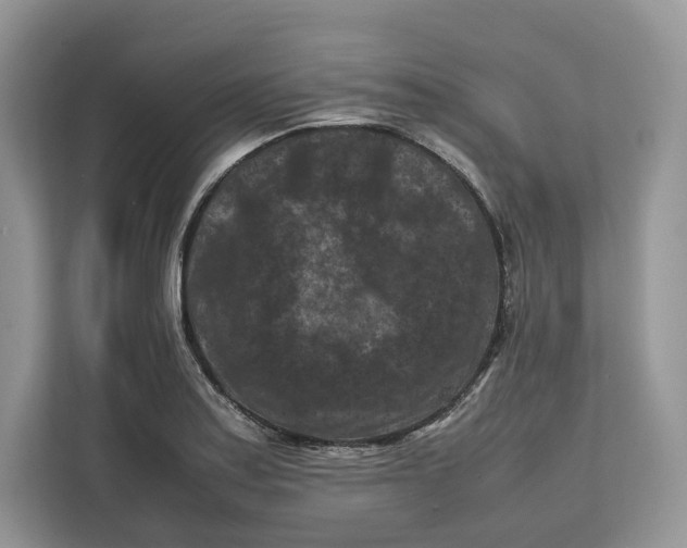 X0000112211179200908281453