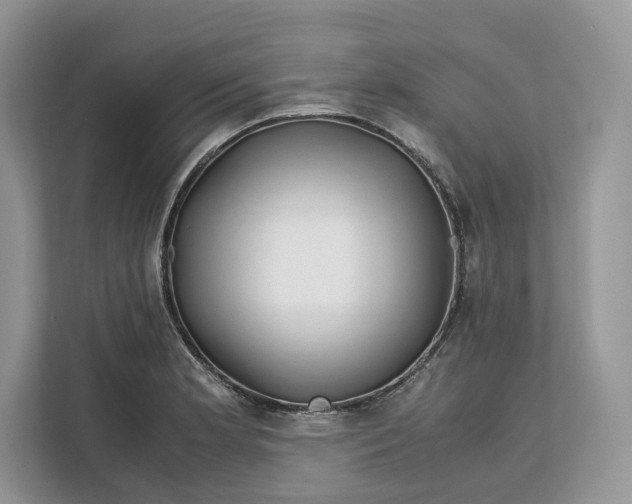 X0000112211181200908281453