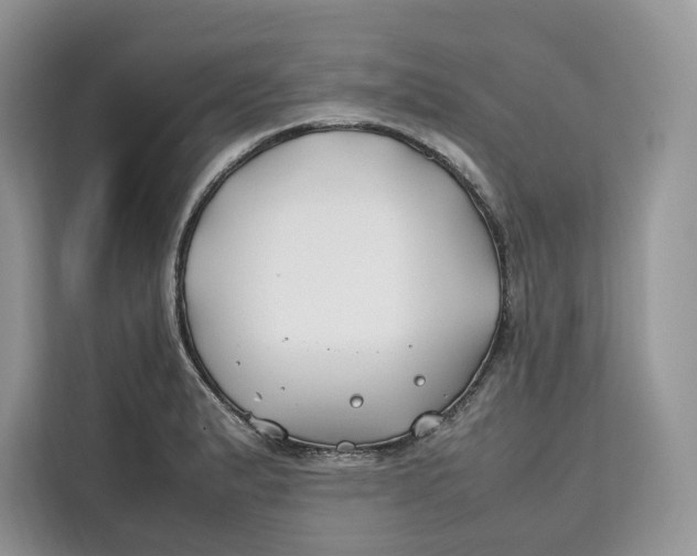 X0000112211183200908281453