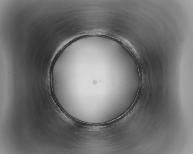 X0000112211184200908281453