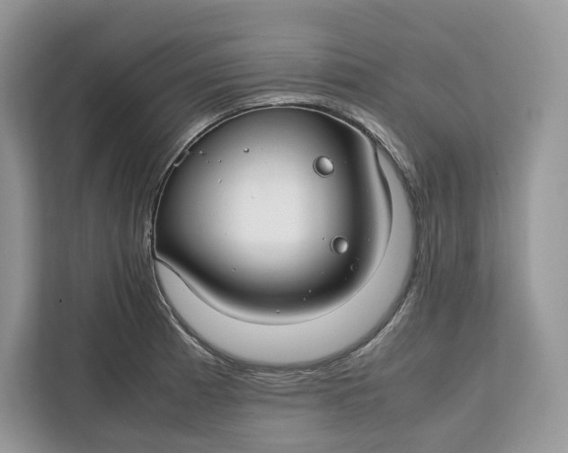 X0000112211185200908281453