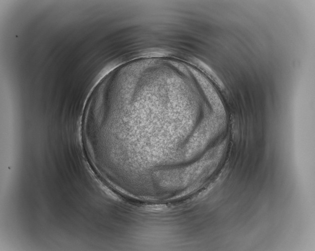 X0000112211186200908281453