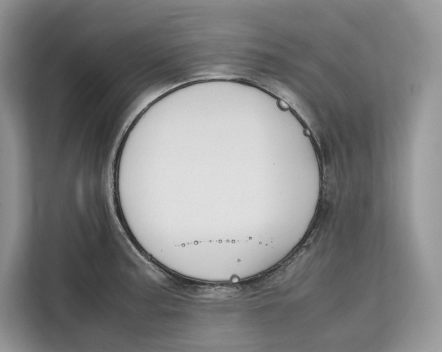 X0000112211187200908281453