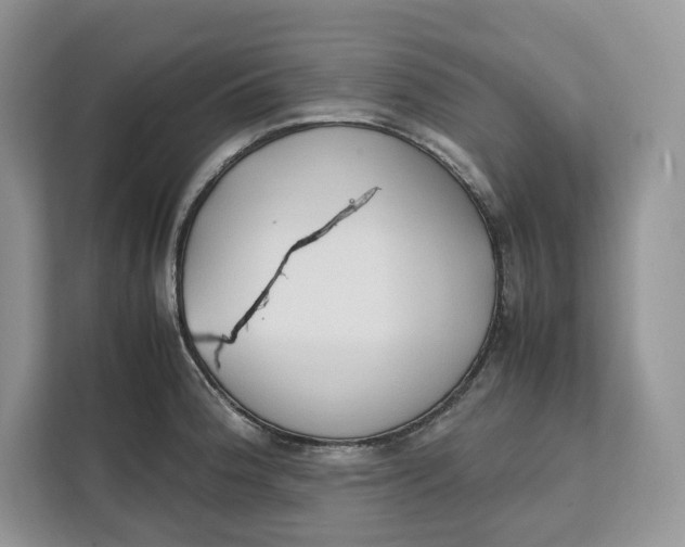 X0000112211188200908281453