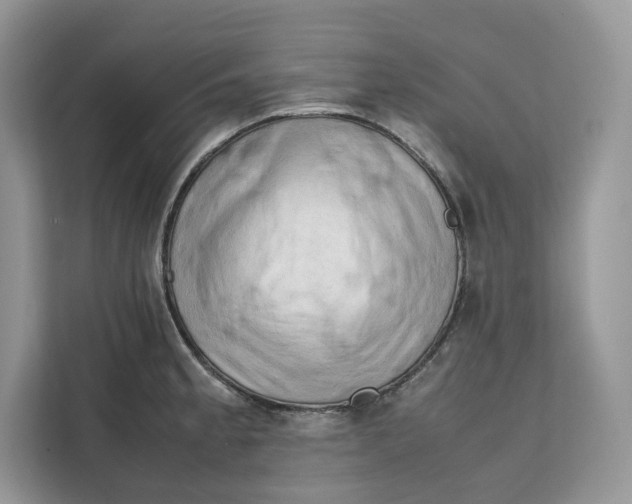 X0000112211189200908281453