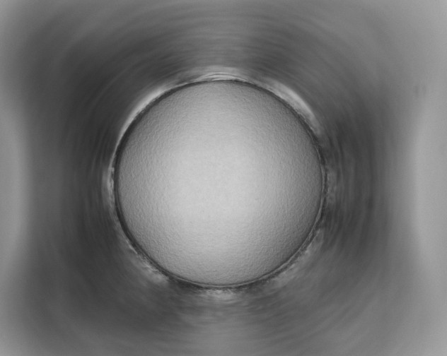 X0000112211190200908281453