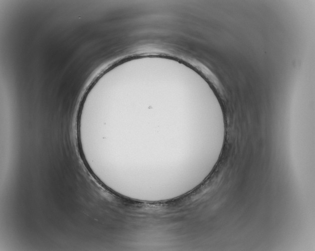 X0000112211191200908281453