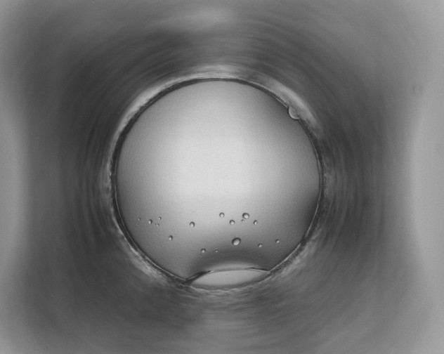 X0000112211192200908281453