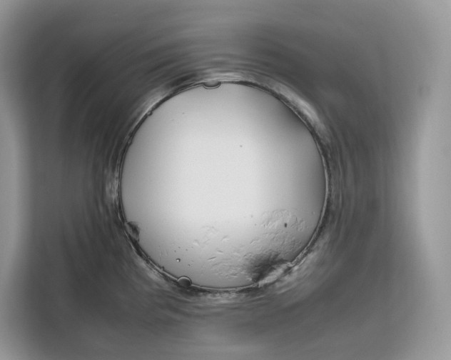 X0000112211193200908281453