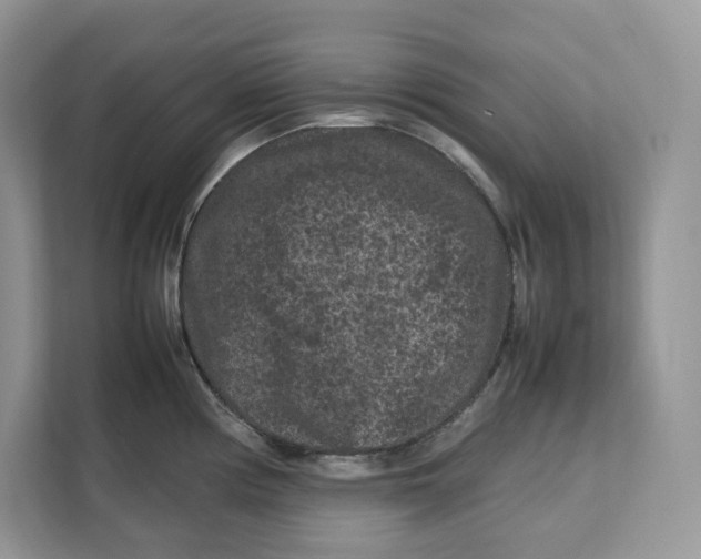 X0000112211194200908281453