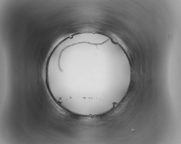 X0000112211195200908281453