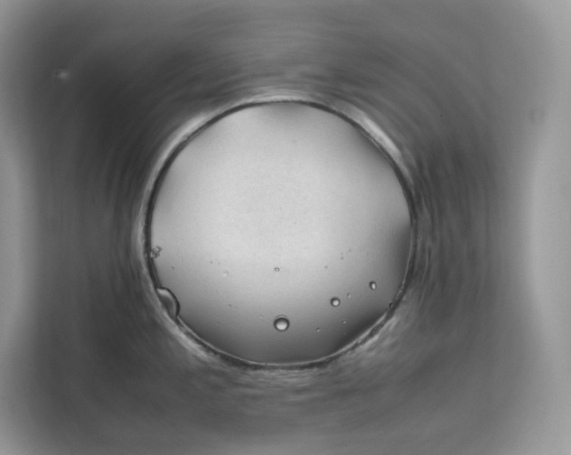 X0000112211197200908281453