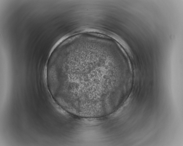 X0000112211198200908281453