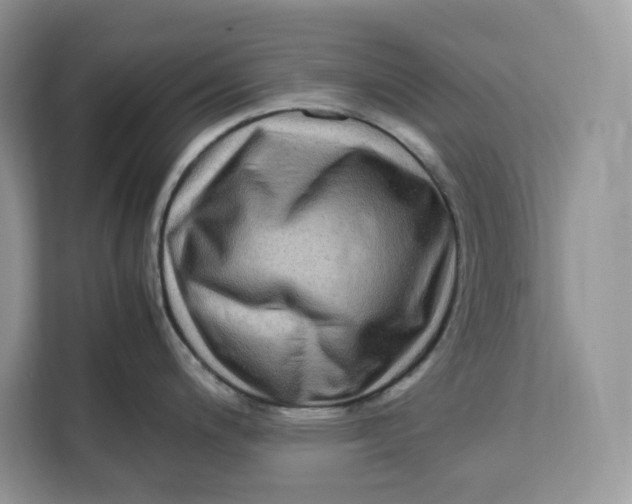 X0000112211200200908281453