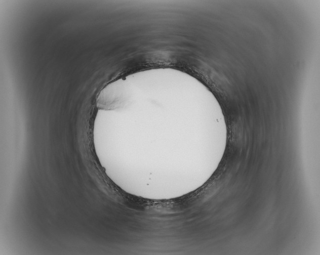 X0000112211201200908281453