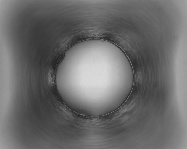 X0000112211202200908281453