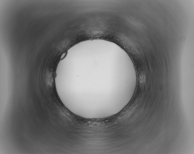 X0000112211204200908281453