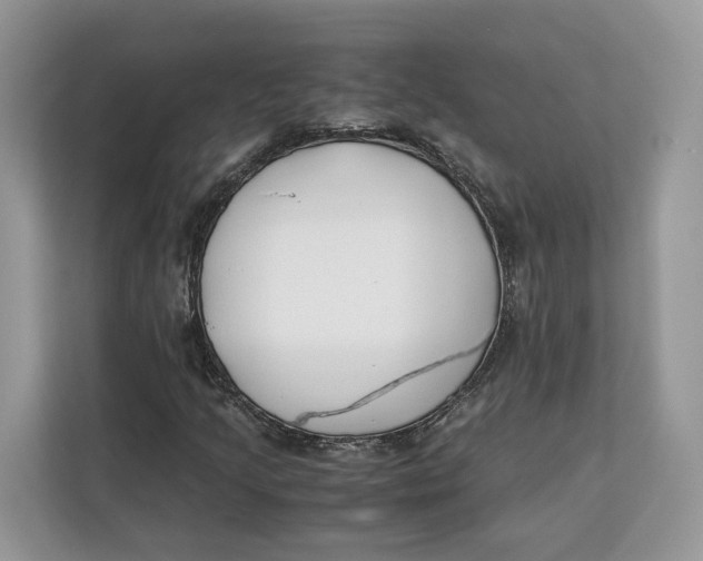 X0000112211205200908281453