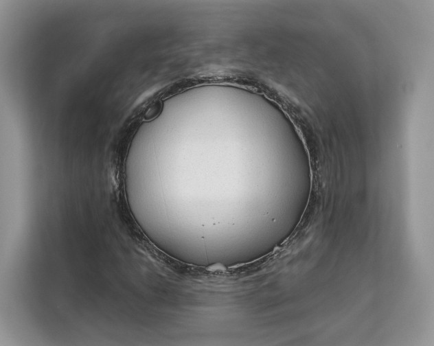 X0000112211206200908281453