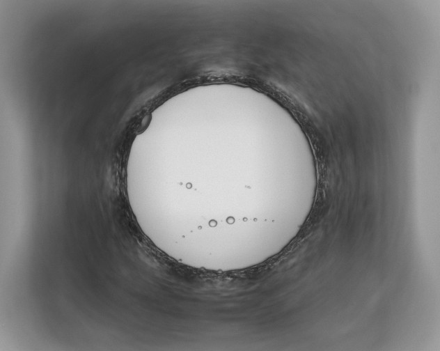 X0000112211207200908281453