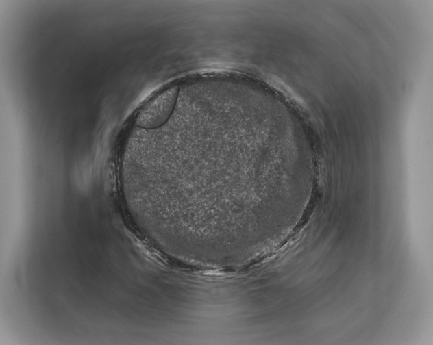 X0000112211208200908281453