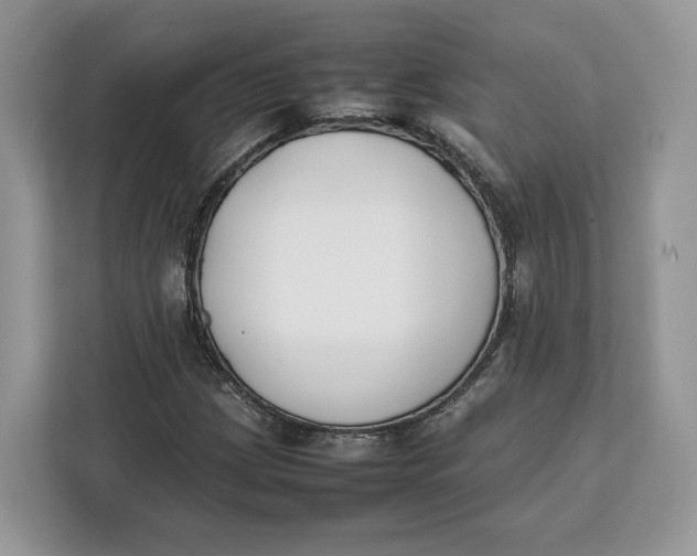 X0000112211209200908281453