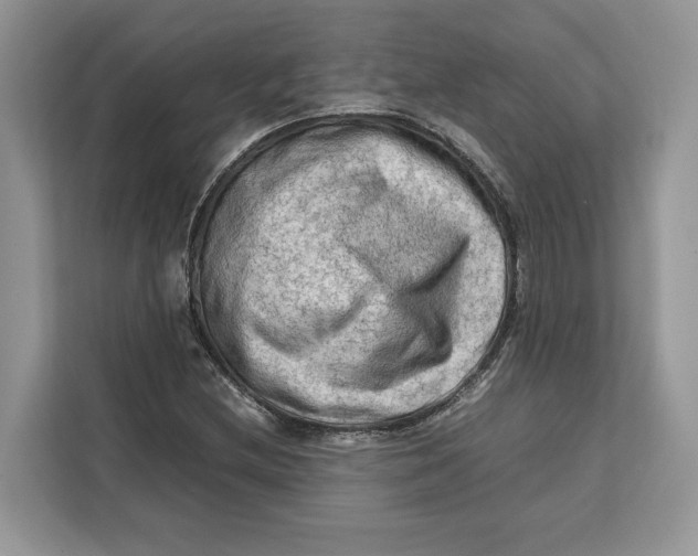 X0000112211212200908281453