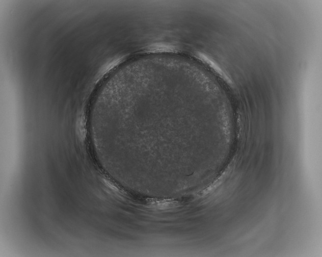 X0000112211213200908281453