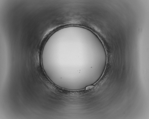 X0000112211214200908281453