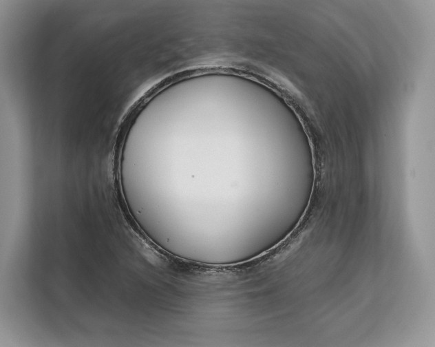 X0000112211216200908281453