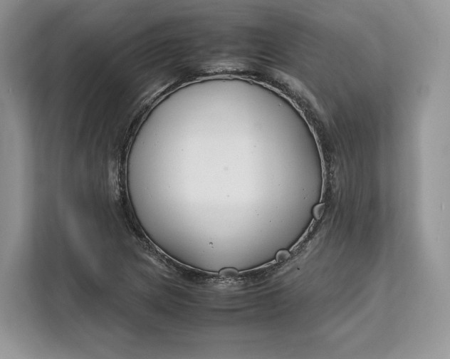 X0000112211217200908281453