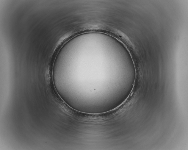 X0000112211218200908281453