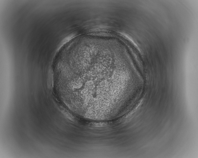X0000112211219200908281453