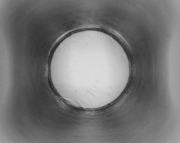 X0000112211220200908281453