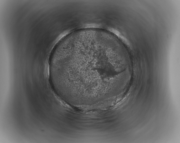 X0000112211221200908281453