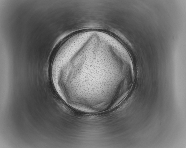 X0000112211222200908281453