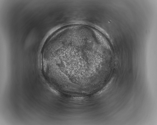 X0000112211223200908281453