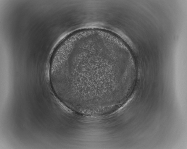 X0000112211224200908281453